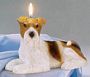 Fox Terrier Candle