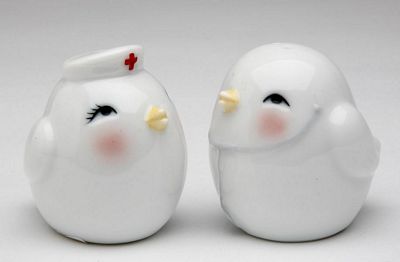 Doctor And Nurse Birds Salt And Pepper Shakers